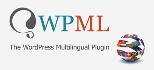 WPML (WordPress Multilingual Plugin)