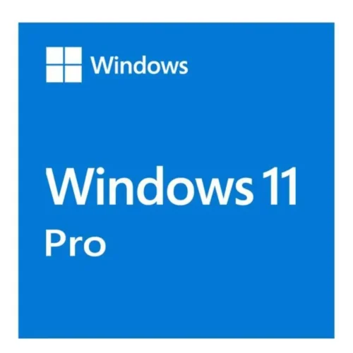 Windows 11 Professional